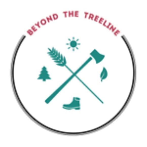 I Offer 5-Star Service. Each time, every time, all the time. I ship quickly too. - Picture 4 of 4